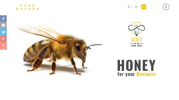 Honey for You